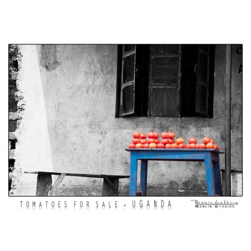 http://store.ronlinstudios.se/12-115-thickbox/tomatos-on-table.jpg