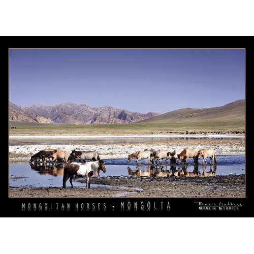 http://store.ronlinstudios.se/35-113-thickbox/mongolian-horses.jpg